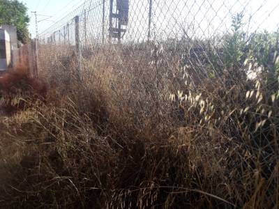 Fotografia /Galeria/2019/7/187185_114099/2_M1.jpg