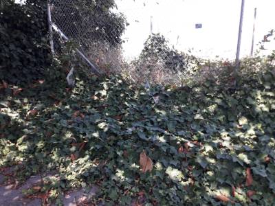 Fotografia /Galeria/2019/7/187185_114099/4_M1.jpg