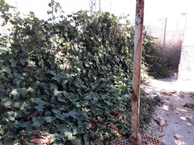 Fotografia /Galeria/2019/7/187185_114099/5_M1.jpg