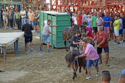 Cabanes celebra les seues festes d'estiu del 2 a l'11 d'agost
