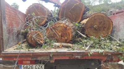 Fotografia /Galeria/2019/8/187447_114313/2_M1.jpg