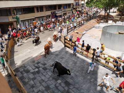 Fotografia /Galeria/2019/8/187485_114348/5_M1.jpg