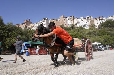 Fotografia /Galeria/2019/8/187528_114370/3_M1.jpg