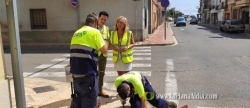 El Ayuntamiento de Torreblanca y FACSA llevan a cabo los trabajos de control de plagas 