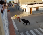 Comencen les exhibicions taurines a la Platja Casablanca