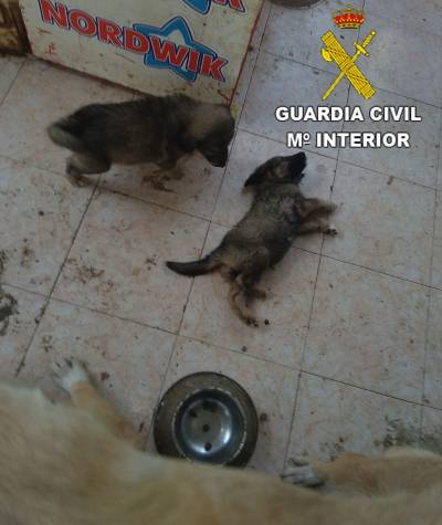 Fotografia /Galeria/2019/8/187767_114573/2_M1.jpg