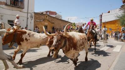 Fotografia /Galeria/2019/8/187772_114578/3_M1.jpg