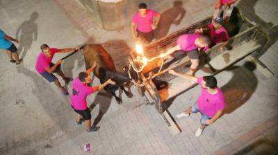 Fotografia /Galeria/2019/8/187772_114578/6_M1.jpg