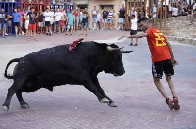 Vilafams enceta el concurs de ramaderies 