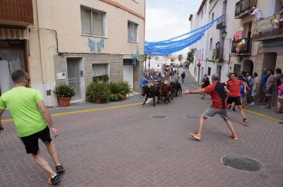 Fotografia /Galeria/2019/8/187814_114613/5_M1.jpg