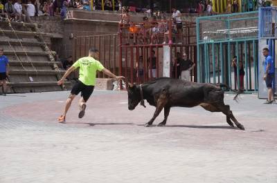 Fotografia /Galeria/2019/8/187814_114613/6_M1.jpg