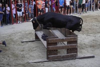 Pirotcnia i espectacles taurins per a despedir les festes patronals de Vilafams