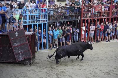 Fotografia /Galeria/2019/8/187888_114674/5_M1.jpg