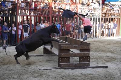 El ferro dels germans Monferrer, de Terol, aconsegueix el primer premi del concurs de ramaderies a Vilafamés