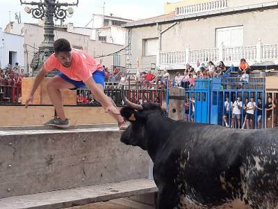 Fotografia /Galeria/2019/8/187913_114696/4_M1.jpg