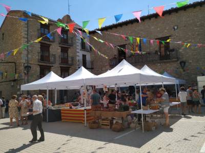 Fotografia /Galeria/2019/8/187935_114717/3_M1.jpg