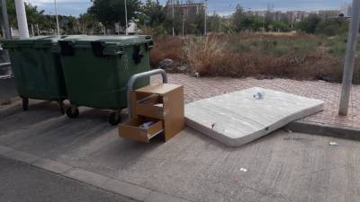 Fotografia /Galeria/2019/8/187968_114744/2_M1.jpg