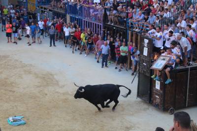 Fotografia /Galeria/2019/8/188015_114784/2_M1.jpg