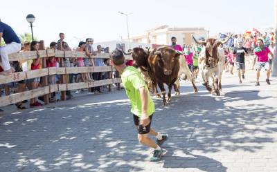Vall d’Alba se convierte en la capital taurina de la provincia con su ya tradicional encierro de 6 toros cerriles