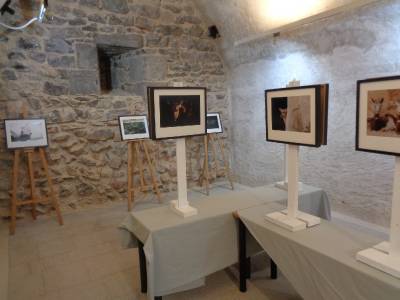 Fotografia /Galeria/2019/8/188039_114804/2_M1.jpg