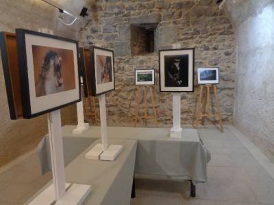 Fotografia /Galeria/2019/8/188039_114804/3_M1.jpg