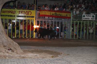 Fotografia /Galeria/2019/9/188440_115141/2_M1.jpg