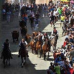 Fotografia /Galeria/2019/9/188448_115147/1_M1.jpg