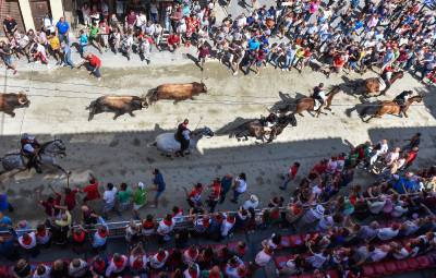 Fotografia /Galeria/2019/9/188448_115147/4_M1.jpg