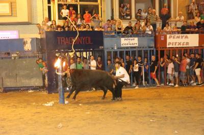 Fotografia /Galeria/2019/9/188470_115167/3_M1.jpg