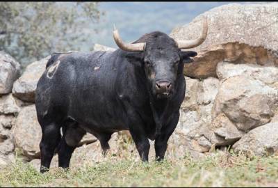 Fotografia /Galeria/2019/9/188470_115167/4_M1.jpg