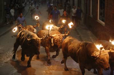 Fotografia /Galeria/2019/9/188472_115169/5_M1.jpg