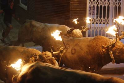 Fotografia /Galeria/2019/9/188472_115169/6_M1.jpg