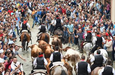 Fotografia /Galeria/2019/9/188530_115212/3_M1.jpg