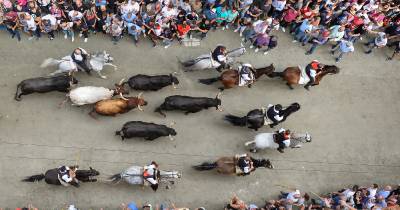 Fotografia /Galeria/2019/9/188592_115263/4_M1.jpg