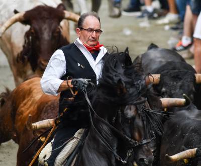 Fotografia /Galeria/2019/9/188592_115263/5_M1.jpg