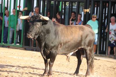 Fotografia /Galeria/2019/9/188651_115339/2_M1.jpg