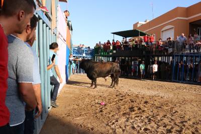 Fotografia /Galeria/2019/9/188651_115339/3_M1.jpg