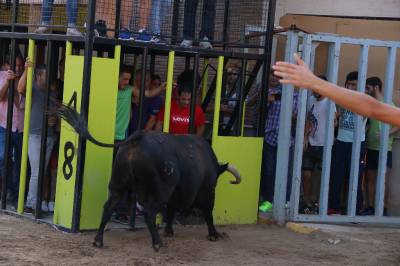 Fotografia /Galeria/2019/9/188651_115339/5_M1.jpg