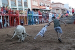 La Vilavella reprén les exhibicions taurines i aconssegueix un permís especial per a lidiar els bous cerrils d'este dissabte