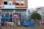 La Vilavella reprén les exhibicions taurines i aconssegueix un permís especial per a lidiar els bous cerrils d'este dissabte