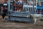 La Vilavella reprén les exhibicions taurines i aconssegueix un permís especial per a lidiar els bous cerrils d'este dissabte