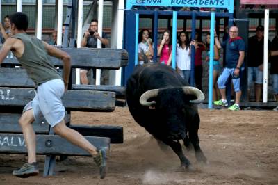 La Vilavella reprén les exhibicions taurines i aconssegueix un permís especial per a lidiar els bous cerrils d'este dissabte