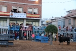 La Vilavella reprén les exhibicions taurines i aconssegueix un permís especial per a lidiar els bous cerrils d'este dissabte