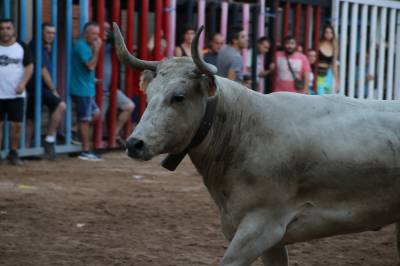 Fotografia /Galeria/2019/9/188685_115340/4_M1.jpg