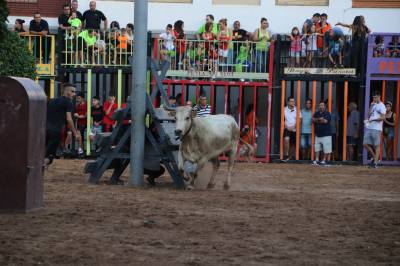 Fotografia /Galeria/2019/9/188685_115340/6_M1.jpg