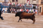 Bous betxí dimecres