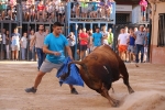 Bous betxí dimecres
