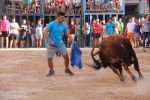 Bous betxí dimecres