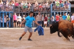 Bous betxí dimecres