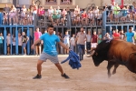 Bous betxí dimecres